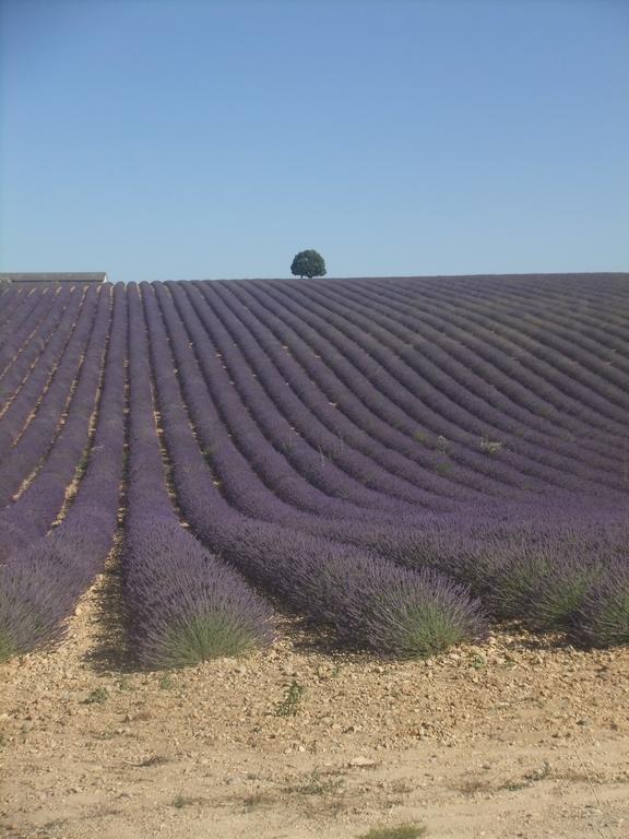 Le Mas Des Aludes La Destrousse Bagian luar foto